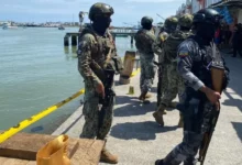 Soldiers and police have been deployed to the port to search for the gunmen