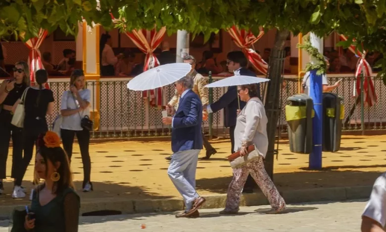 Umbrellas to ward off the heat in Seville this week