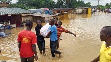 Volunteers salvage foodstuffs