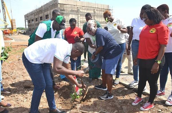 Mr Kwesi Agyeman -Busia watering the planted during the exercise. Photo. Vincent Dzatse