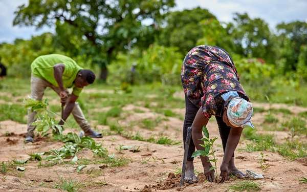 • Smallholder farmers need social protection Photo credit: TreeAid