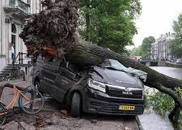 Fallen trees lie on cars after a storm hit Amsterdam, Netherlands, yesterday