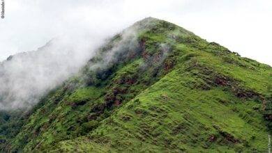 • A section of the Akwapim-Togo Ranges near Likpe Todome Photo: Muntaka Chasant