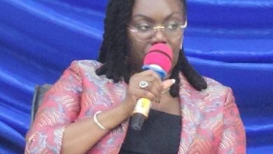 Mrs Ursula Owusu Ekuful (inset) addressing participants at the programme