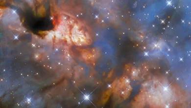 This image from the NASA/ESA Hubble Space Telescope is a relatively close star-forming region known as IRAS 16562-3959. ESA/Hubble & NASA, R. Fedriani, J. Tan