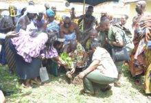 • Odeneho Kwafo Akoto III (middle) being assisted by other dignitaries to plant a tree Photo Victor A. Buxton