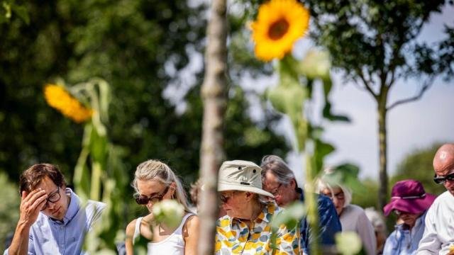 Sunflowers have become a symbol of the disaster because many of the victims ended up in a sunflower field