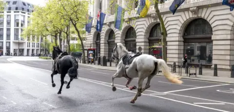 • Horses from the Household Cavalry were seen galloping through central London back in April