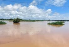 • Farmlands along the White Volta in Bawku West District submerged