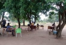 • Pupils sitting under shed