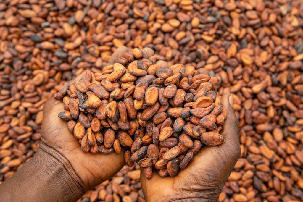 • Cocoa beans