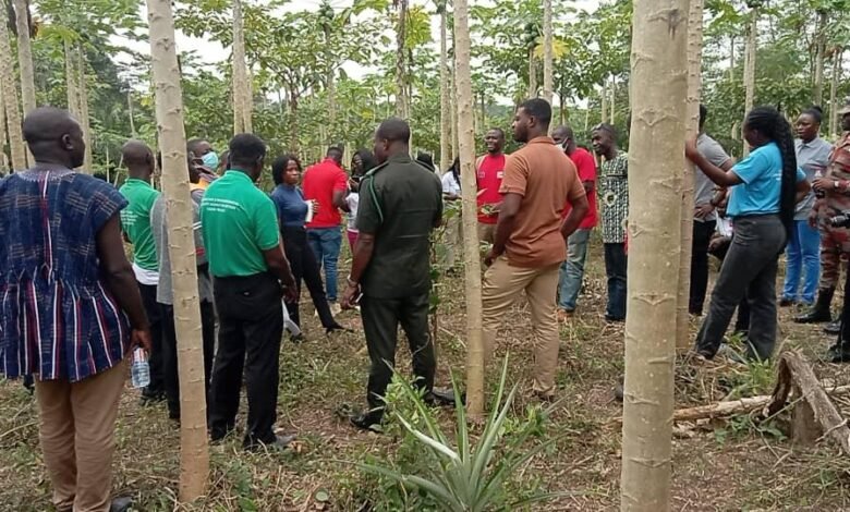 • The team inspecting a tree farm at Bonsua