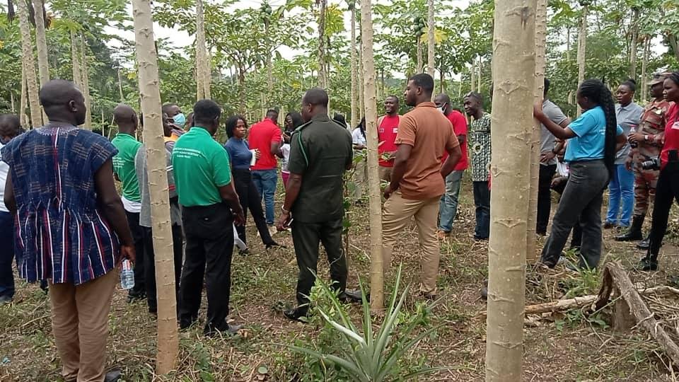 • The team inspecting a tree farm at Bonsua