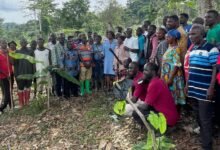 • Mrs Ophelia Mensah Hayford (middle) with some of the farmers