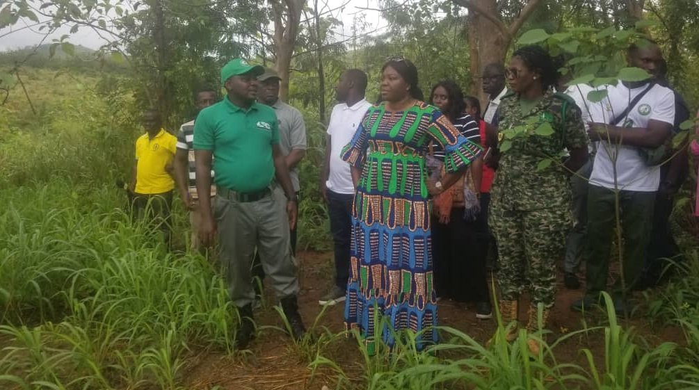 • Mrs Hayford (middle) and some officials being conducted round the forest reserves by Nii Kwei Kussachin
