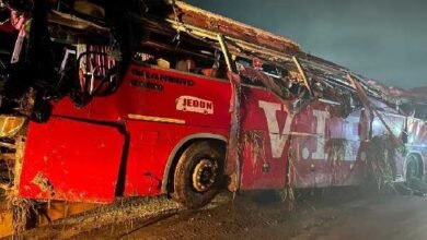 • The mangled VIP bus