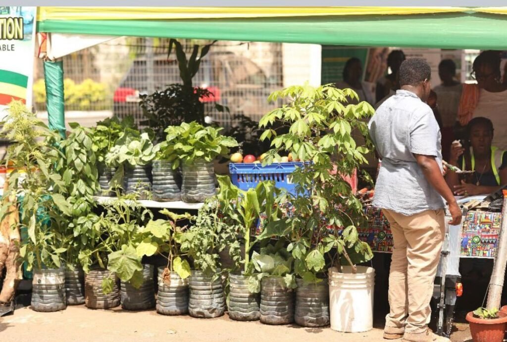 Some florists exhibiting their products