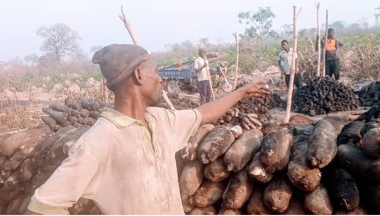 • An affected farmer