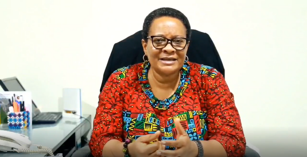 • Mary Awelana Addah, Executive Director, GII