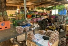 Fruit and vegetable market in Wa