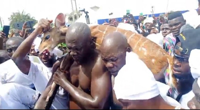 • One of the Asafo companies with a catch