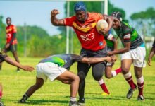 • Ace Reindorf of Bulls going into a contact