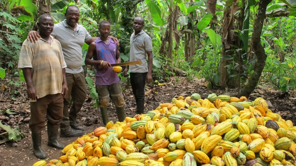 • Cocoa farmers to enjoy insurance coverage