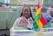 • Mrs Ofosu-Adjare at the meeting