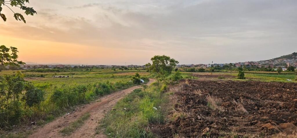 • The Weija Irrigation farm land