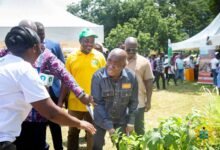 • Mr Ahi (in front) at the fair