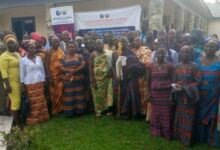 • The participants