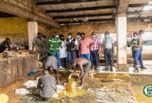 • Flashback: AMA officials clamp down on illegal slaughter house operating under unsanitary conditions at Avenor