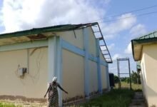 Tomato factory project to be revitalised