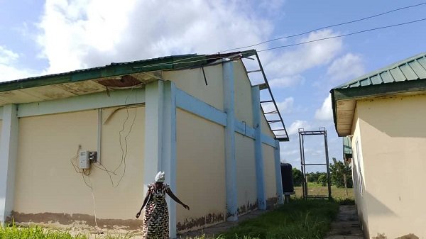 Tomato factory project to be revitalised