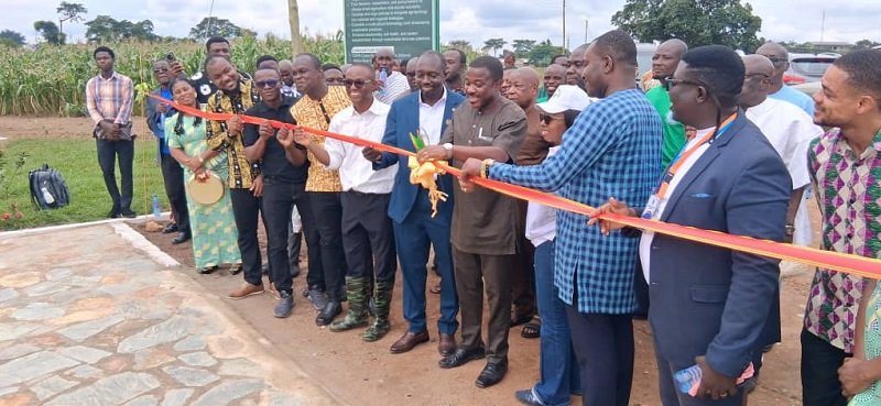 Excessive agrochemical use threatens public health, food security – Dr Asante