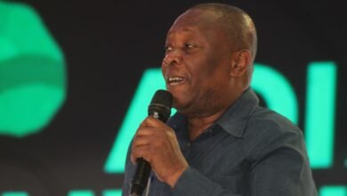 • Prof. George Oduro (inset) addressing participants at the conference