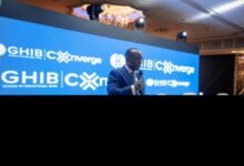 • Mr Adansi speaking at the conference