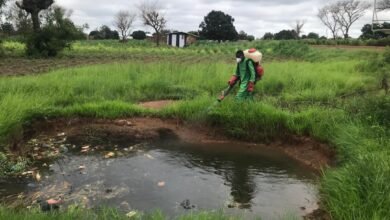 • Personnel from Zoomlion spraying the area to prevent breeding mosquitoes