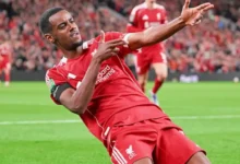 Alexander Isak celebrating his goal