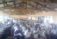 • The CPAs at the programme