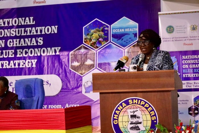 Ms Gomashie addressing participants in the meeting