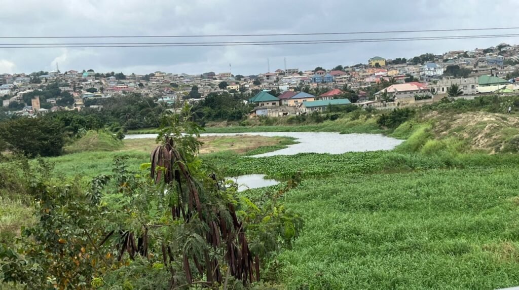 The Weija water channel overgrown with weeds