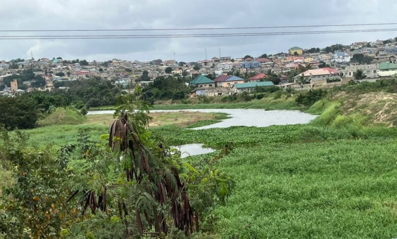 The Weija water channel overgrown with weeds