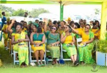 Participants in the programme