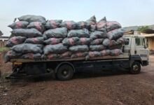 The impounded truck loaded with sacks of Indian hemp