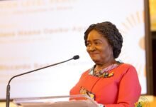 • Vice President Professor Opoku-Agyemang ( inset) addressing the gathering