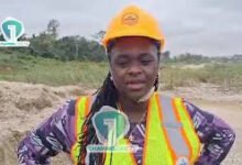 Professor Nana Ama Browne Klutse