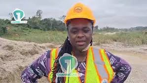 Professor Nana Ama Browne Klutse