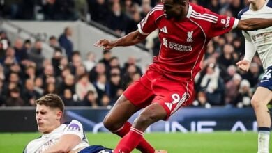 Alexander Isak comes under a challenge from Van de Ven