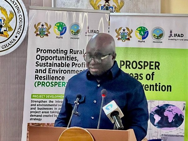 Mr Eric Opoku (inset) addressing participants at the launch